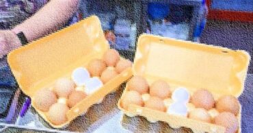 Минприроды намерено запретить упаковку для еды из полистирола