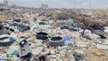 Плата за экологию в 2025 году достигла 24 млрд рублей